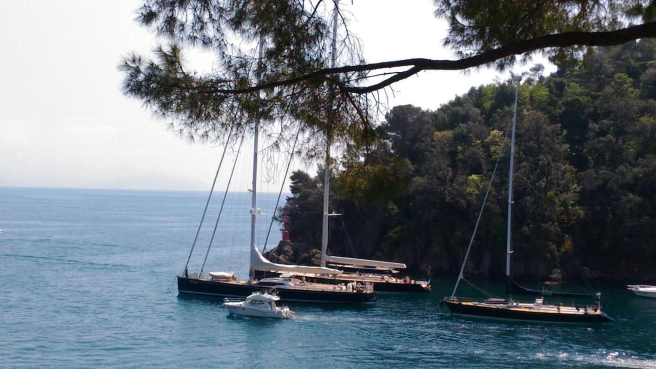 Liguria Home 4 - Recco Centro A 2 Minuti Dal Mare Eksteriør billede