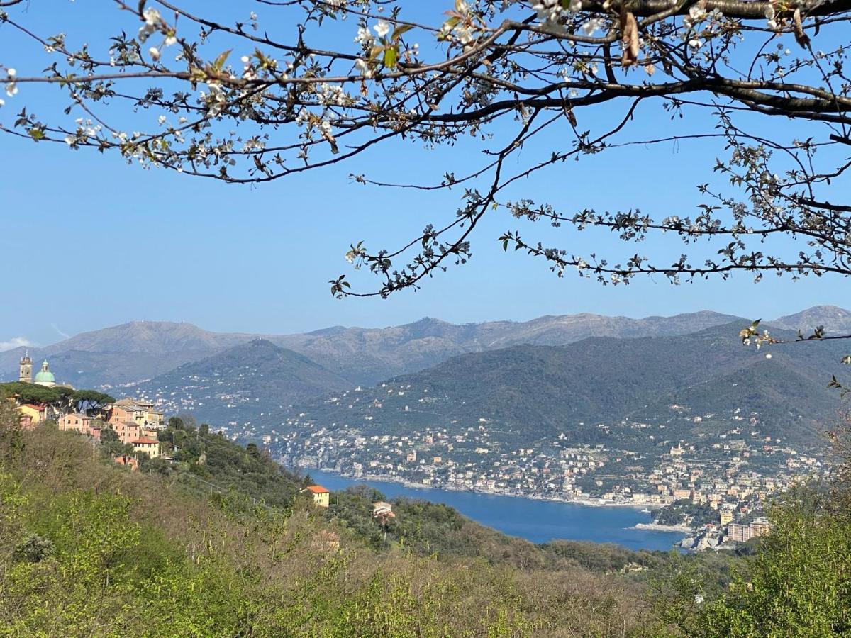 Liguria Home 4 - Recco Centro A 2 Minuti Dal Mare Eksteriør billede